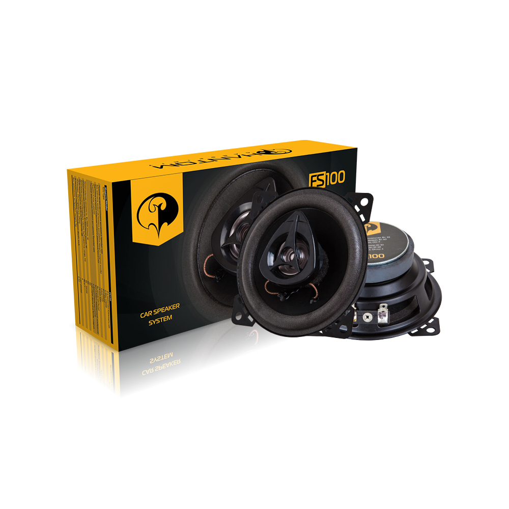 FS-100