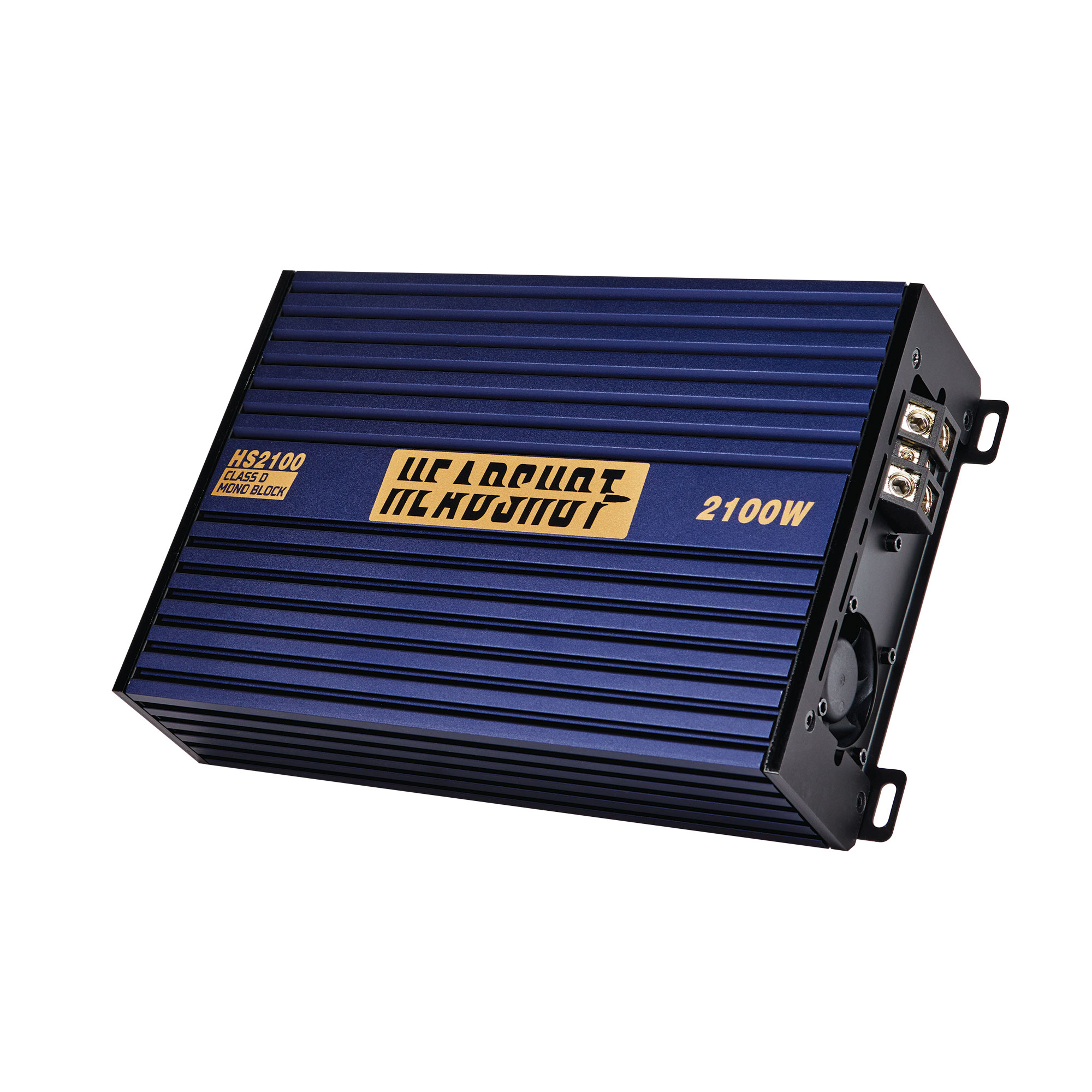 HS2100