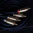 Headshot RCA-44-5-SS