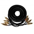 Headshot RCA-44-5-SS